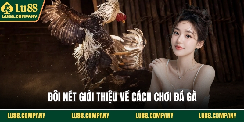 Đôi nét giới thiệu về cách chơi đá gà