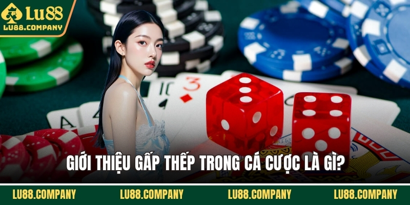 Giới thiệu gấp thếp trong cá cược là gì?