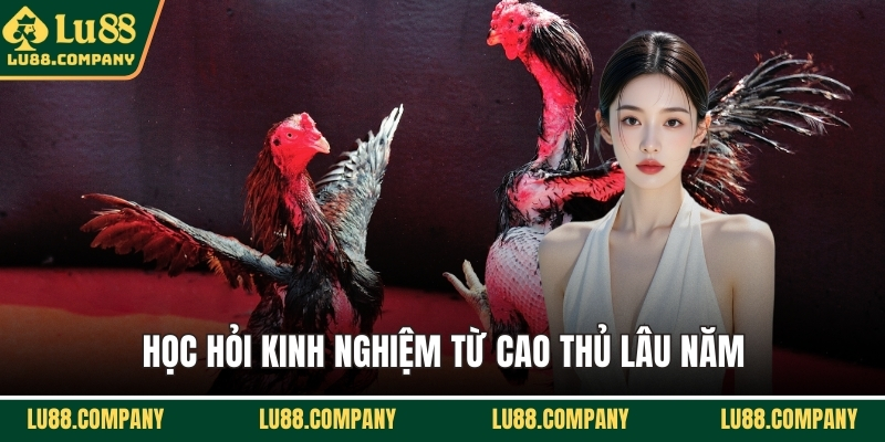 Học hỏi kinh nghiệm từ cao thủ lâu năm